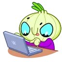 💻