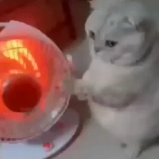 🔥