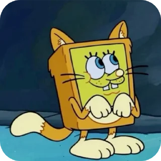 😸