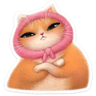 🐱