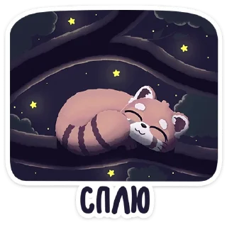😴