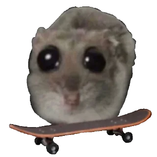 🛹