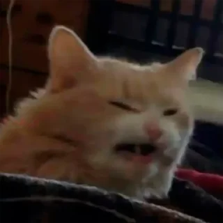 👺
