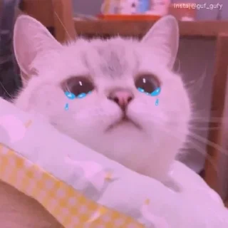 😢