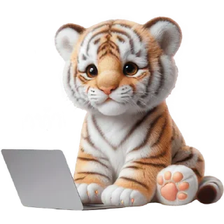 💻