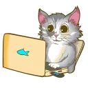 💻