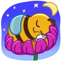 💤