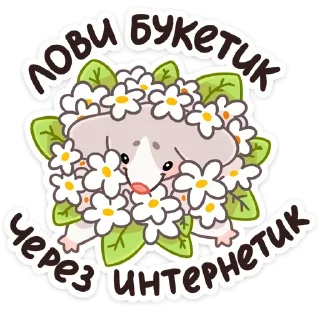 💐