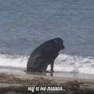 😶