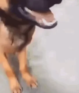 😊