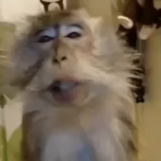 💋