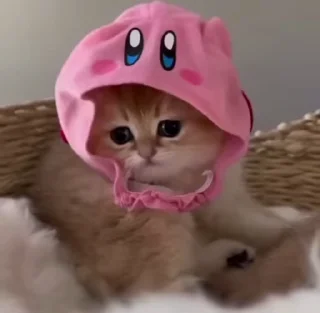 🌟