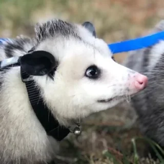 😳