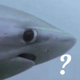 ❓