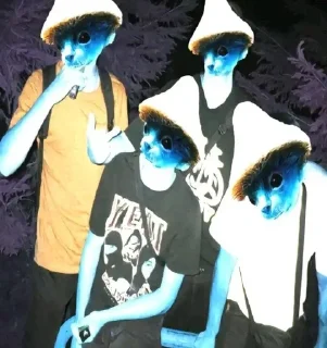 🌟