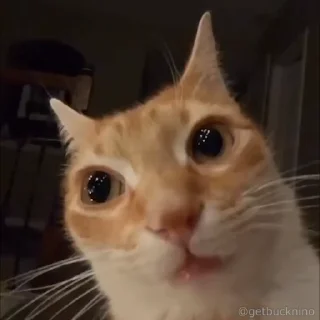 😐