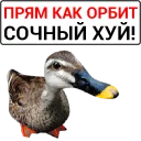 🦆
