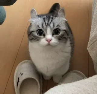 😨