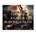 🇫🇷