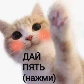 🖐