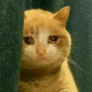 🥺