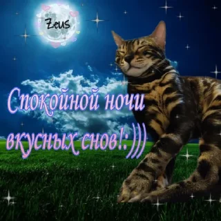✨