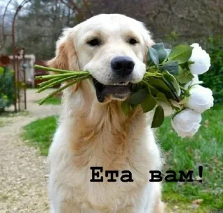 💐