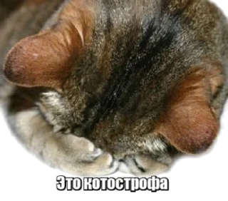 😞