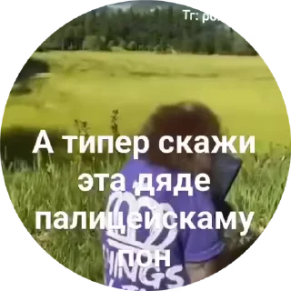 🌟