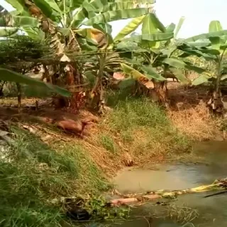 😂
