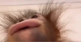 🙃