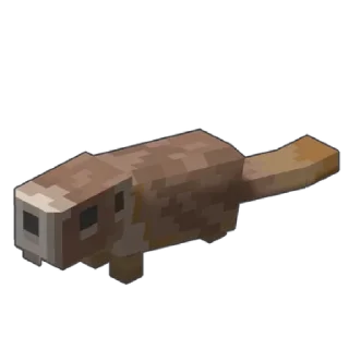 🦫