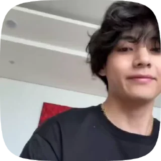 🌟