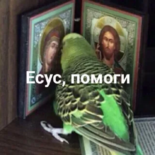 🙏