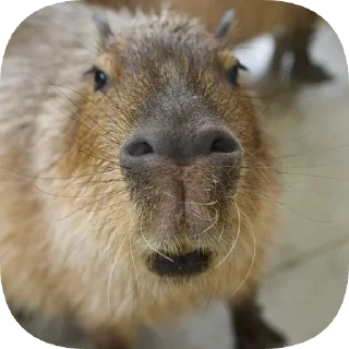 😧