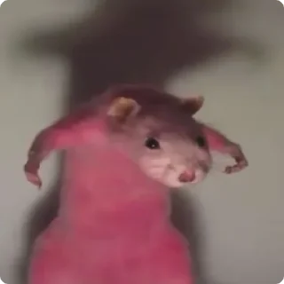 💪