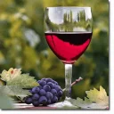 🍷