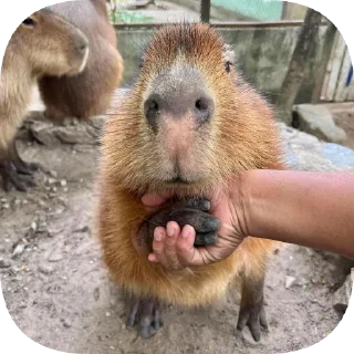🤝