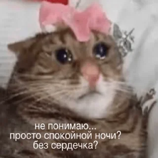 😥