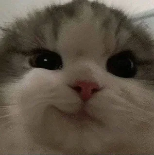 🫣