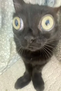😳