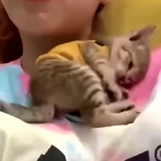 💤