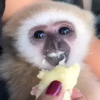 😋