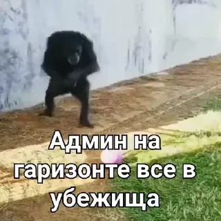 🏠