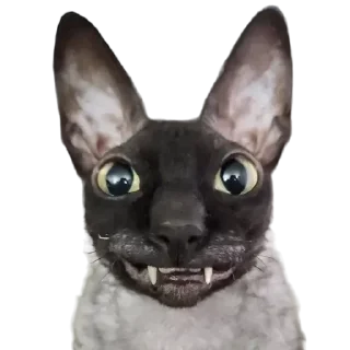 😃