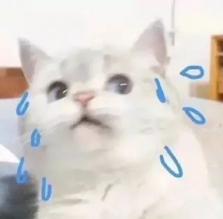 😓