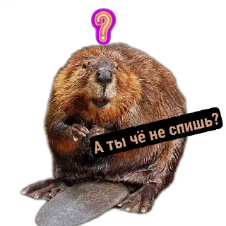 ❓