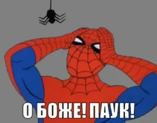 🕷