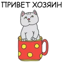 🐱