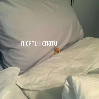 😴